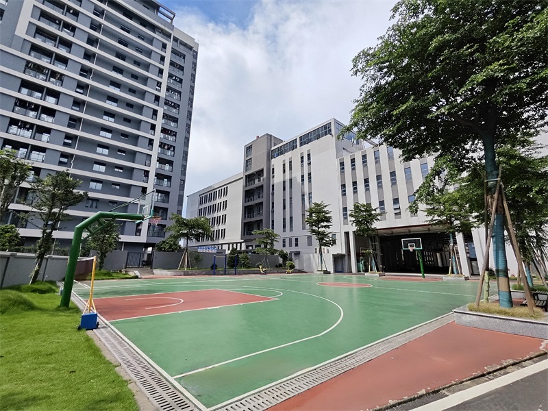 運(yùn)動(dòng)場(chǎng)